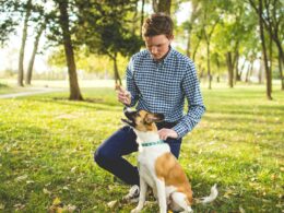 Zvířecí behaviorismus – seznamte se s čím dál populárnějším oborem, který může odpovědět na vaše otázky!