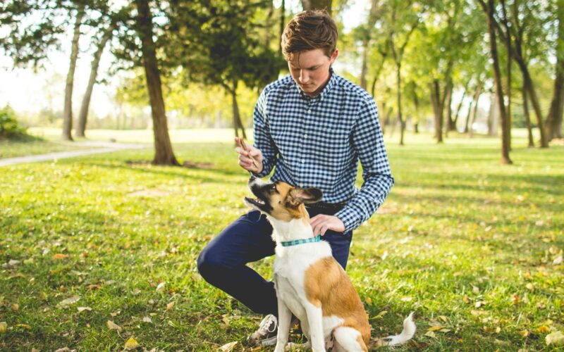 Zvířecí behaviorismus - seznamte se s čím dál populárnějším oborem studia, který může být odpovědí na vaše potřeby!